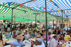 Las Angosturas disfruta de su tradicional verbena